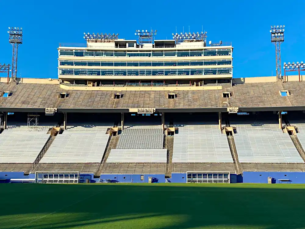 Cotton Bowl Detail View 3