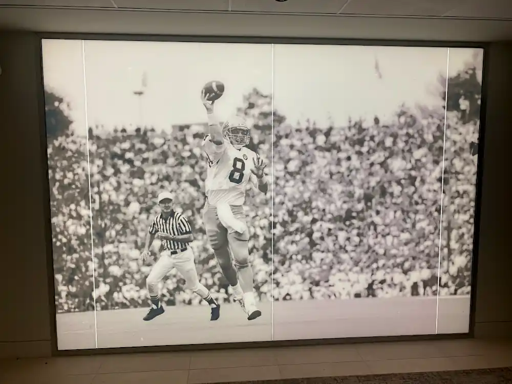 Cotton Bowl Detail View 7